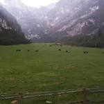 L'igloo 3* Sedico