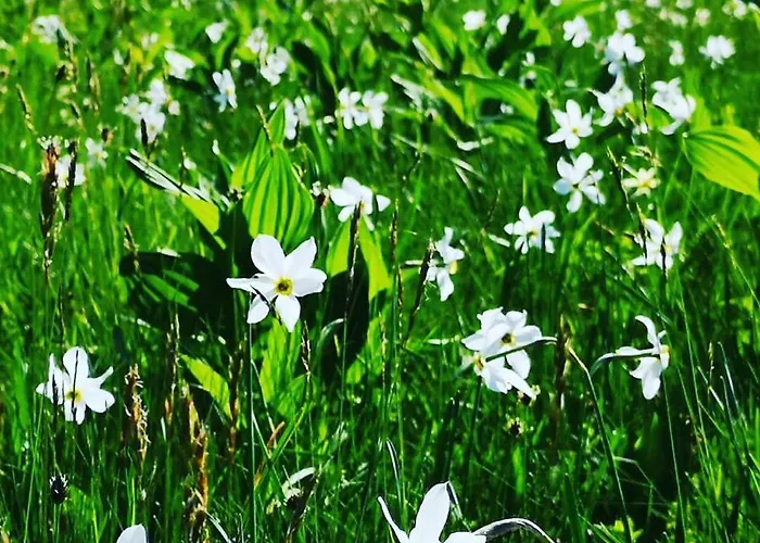 L'igloo Bed & Breakfast 3*